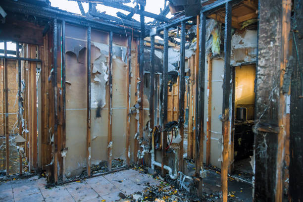 Professional Emergency Fire Cleanup technician working in Hackberry, TX